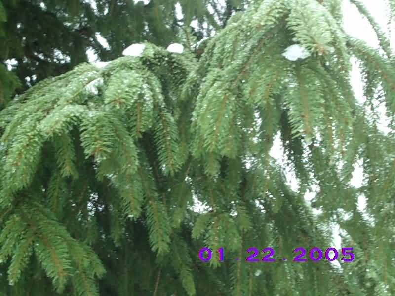 Image of jan22^11.jpg